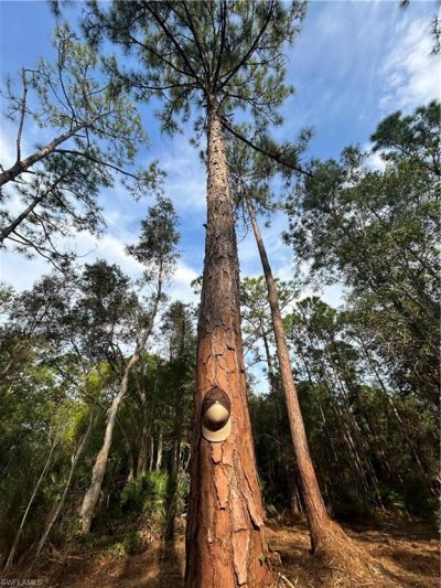 Please Call For Address, Naples, FL 34120 Photo