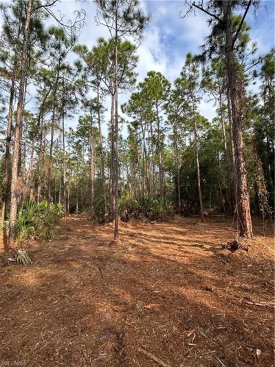 Please Call For Address, Naples, FL 34120 Photo