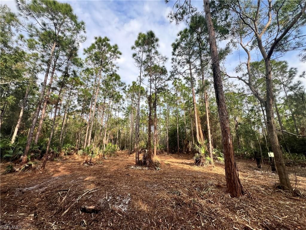 Please Call For Address, Naples, FL 34120 Photo