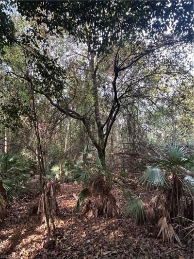 Please Call For Address, Naples, FL 34120 Photo