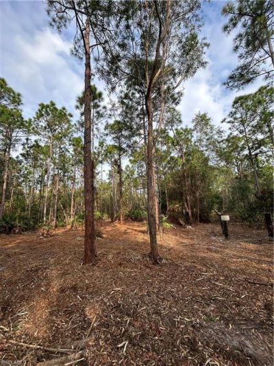 Please Call For Address, Naples, FL 34120 Photo