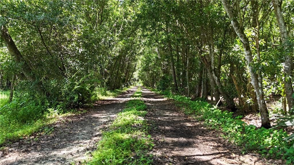 Please Call For Address, Naples, FL 34120 Photo