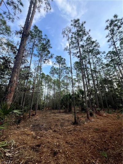 Please Call For Address, Naples, FL 34120 Photo