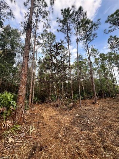 Please Call For Address, Naples, FL 34120 Photo