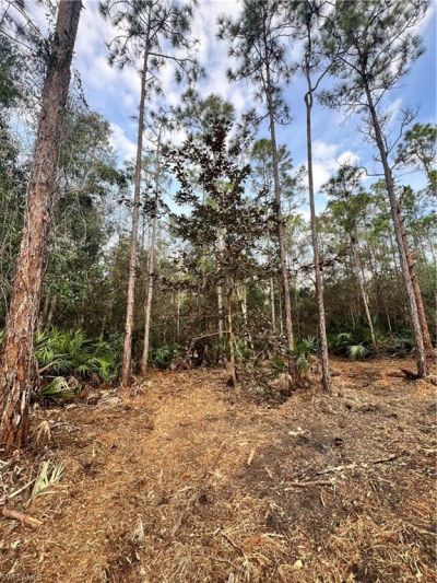 Please Call For Address, Naples, FL 34120 Photo