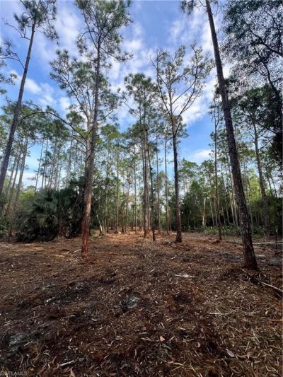Please Call For Address, Naples, FL 34120 Photo