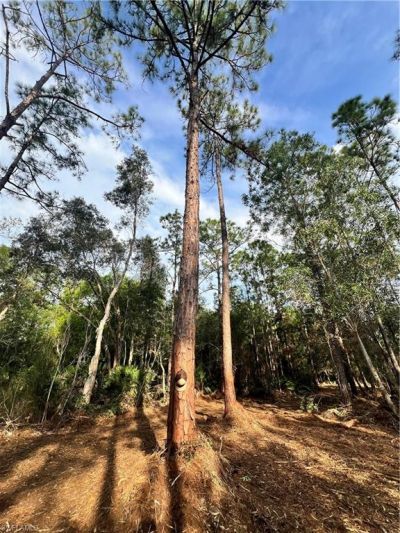 Please Call For Address, Naples, FL 34120 Photo