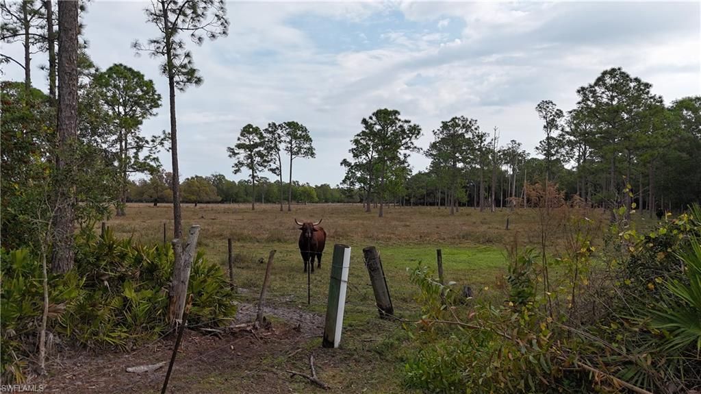 Please Call For Address, Naples, FL 34120 Photo