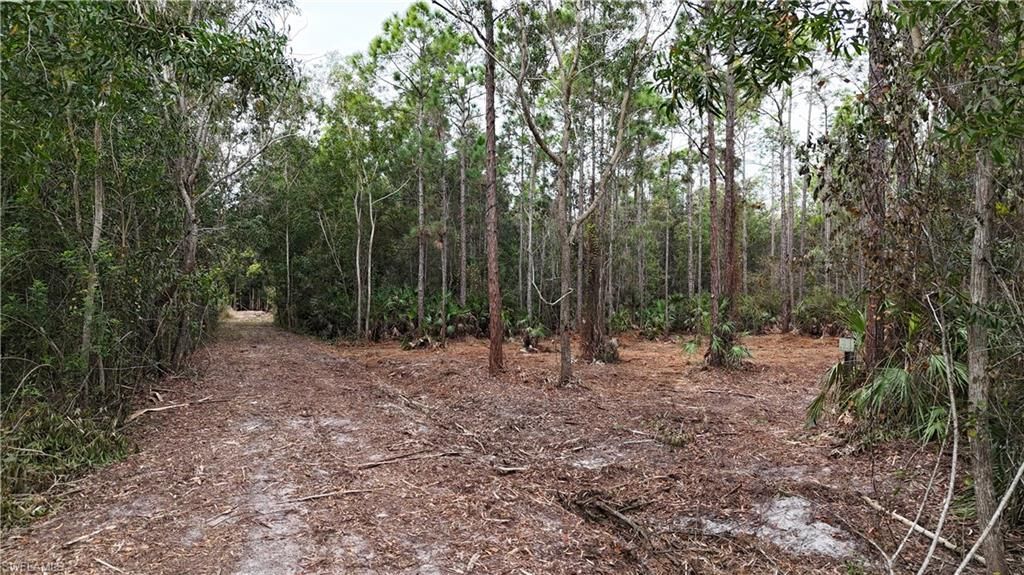 Please Call For Address, Naples, FL 34120 Photo