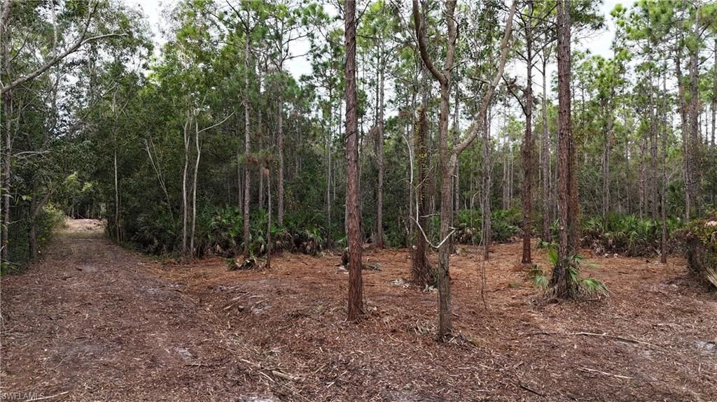 Please Call For Address, Naples, FL 34120 Photo