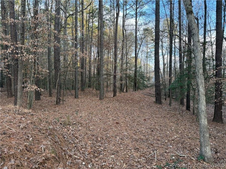 Property Image 8