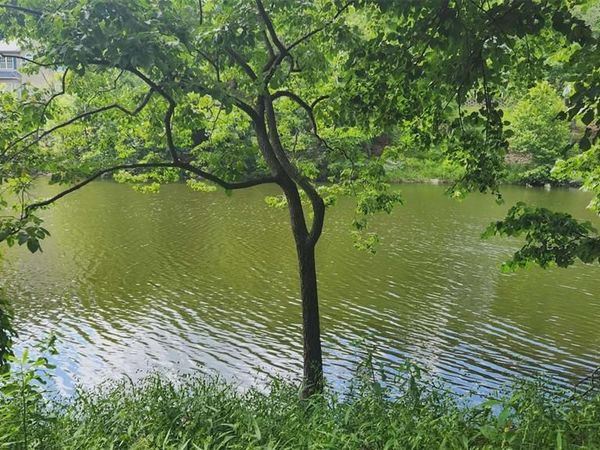 574 Marina Drive, Marthasville, MO 63357