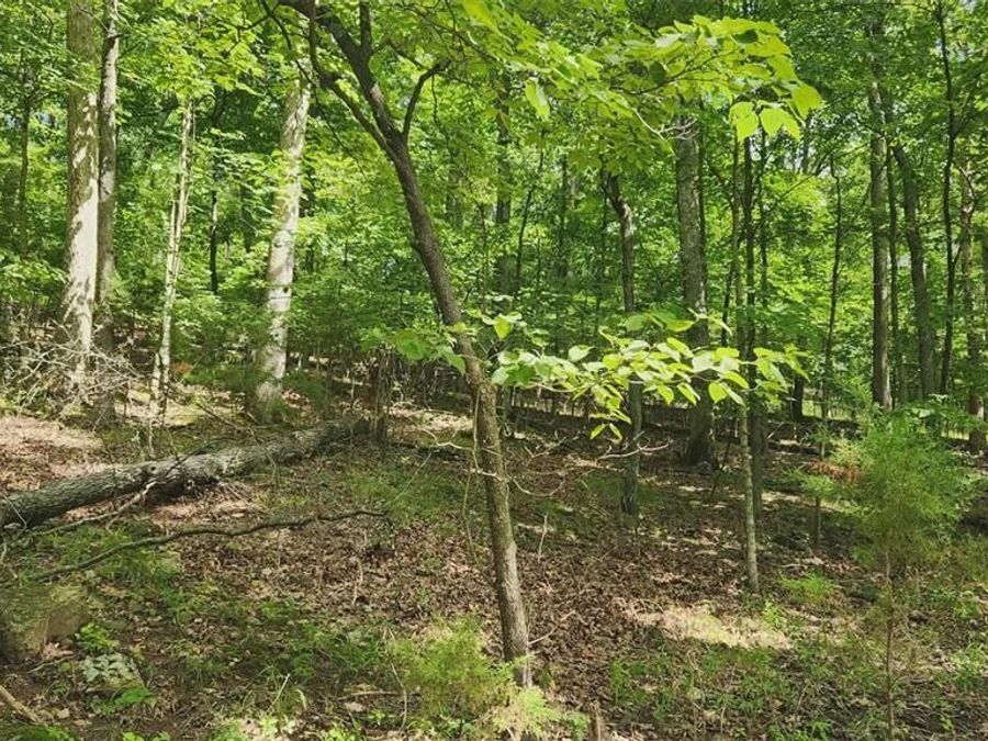 Property Image 6