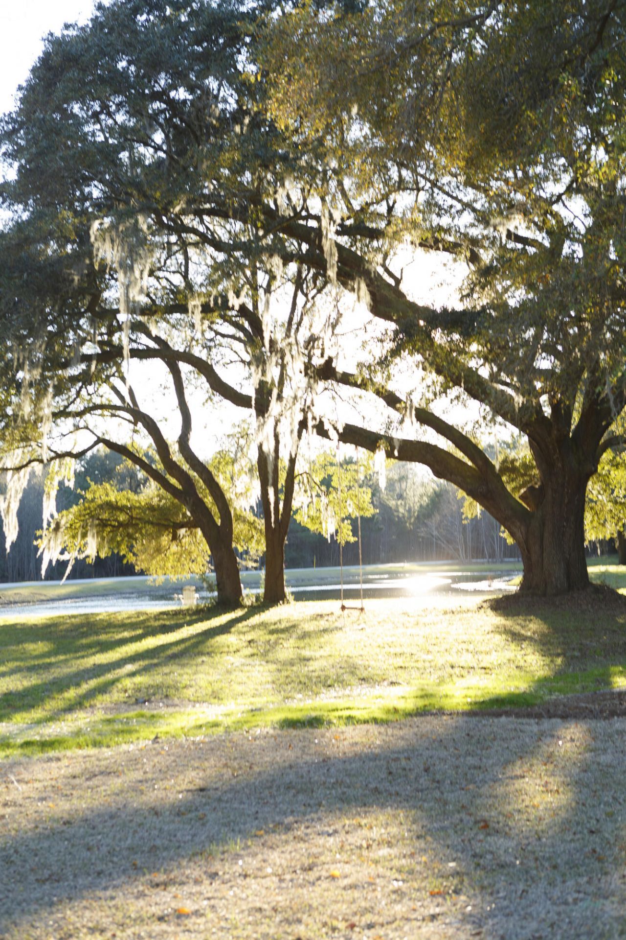 2151 Arthur Rose Lane Photo 33