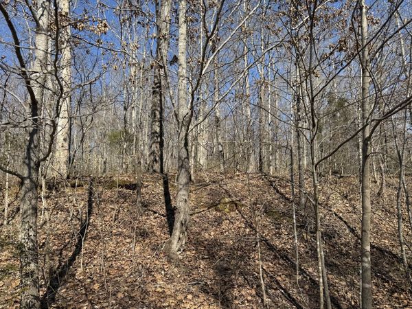 0 Hurricane Loop , Tennessee Ridge, TN 37178
