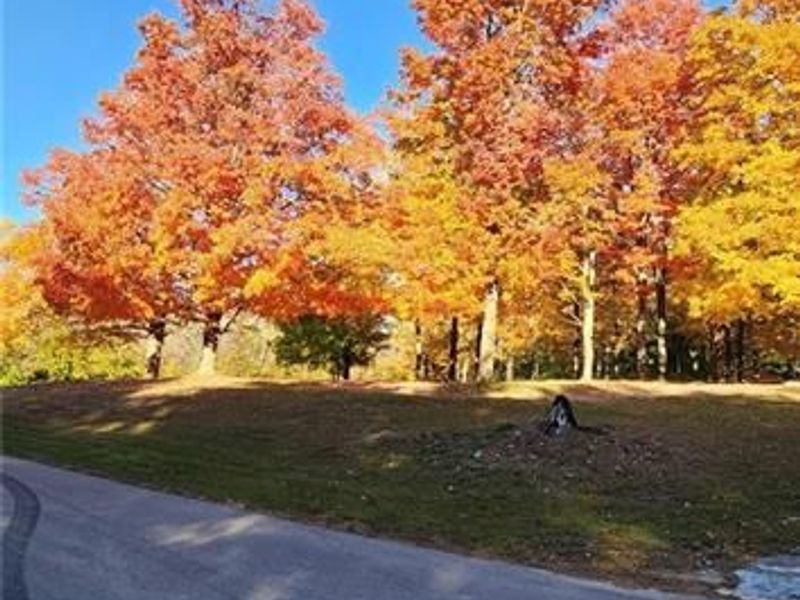 1229 Eaton Fort Nesbit Road, New Paris, OH 45347 Photo 41