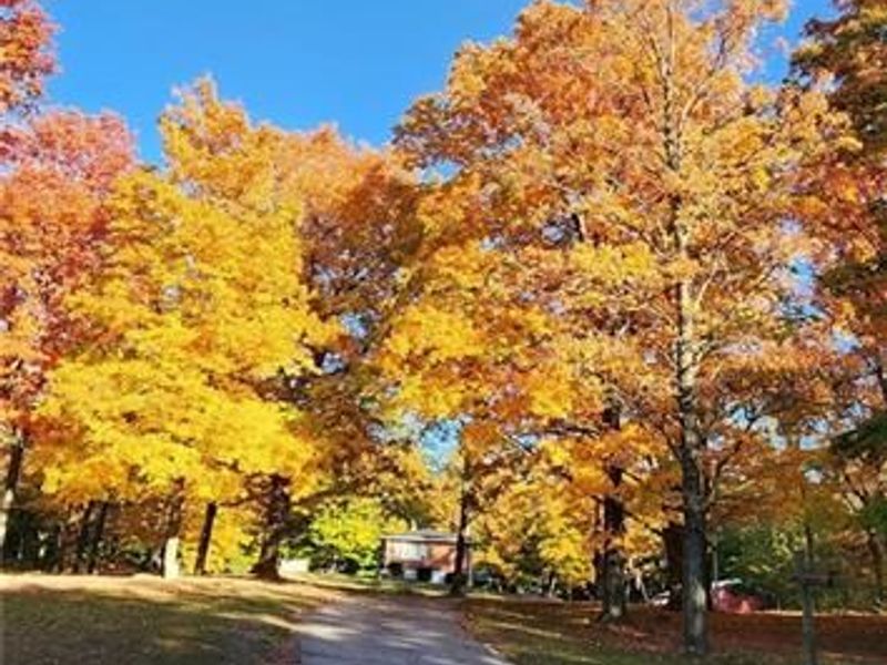 1229 Eaton Fort Nesbit Road, New Paris, OH 45347 Photo 42