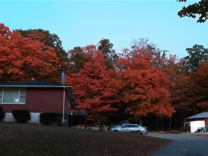 1229 Eaton Fort Nesbit Road, New Paris, OH 45347 Photo 43