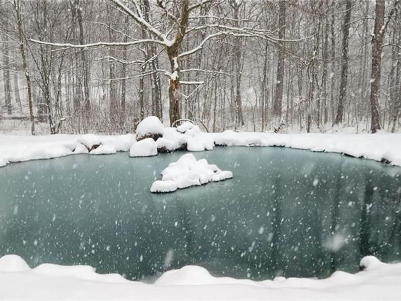 1229 Eaton Fort Nesbit Road, New Paris, OH 45347 Photo 47