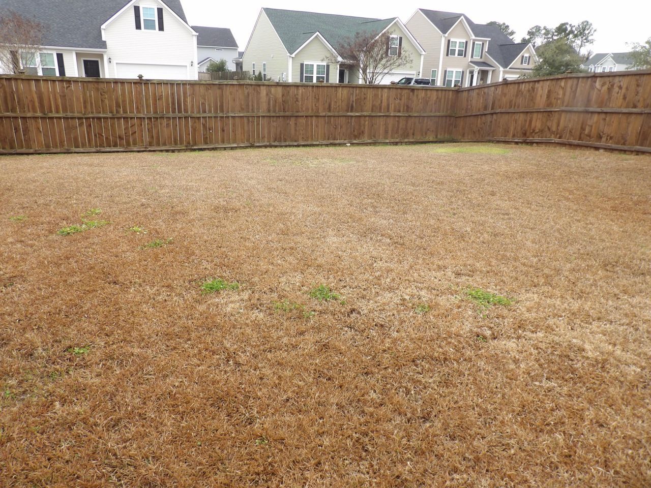 1401 Dahoo Lane Photo 13