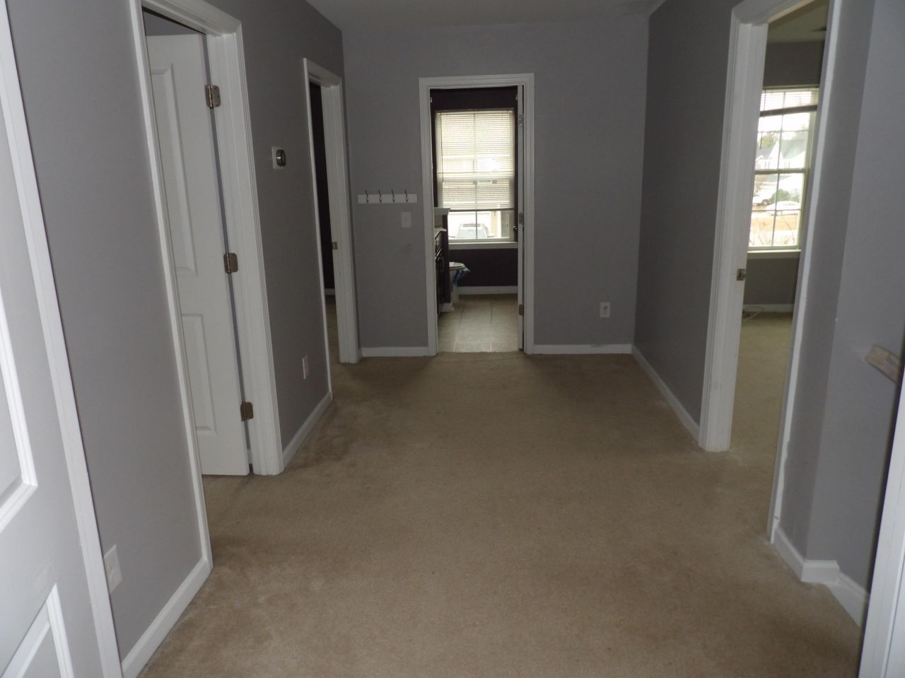 1401 Dahoo Lane Photo 4