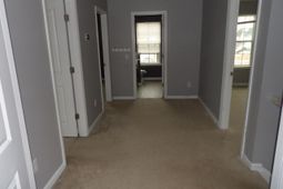 1401 Dahoo Lane photo 4