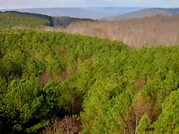 1560 Thunder Ridge Drive, South Pittsburg, TN 37380