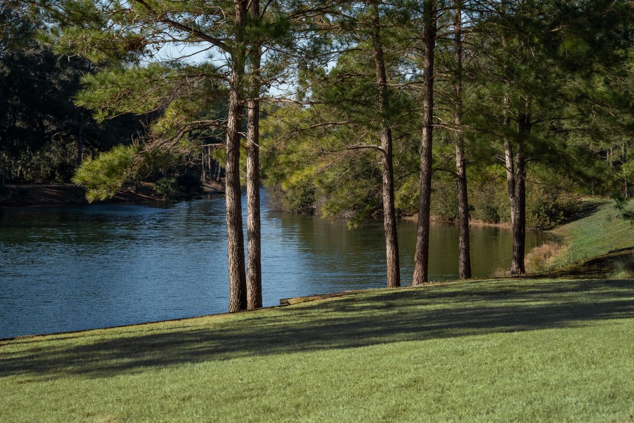 4105 Gnarled Oaks Lane Photo 10