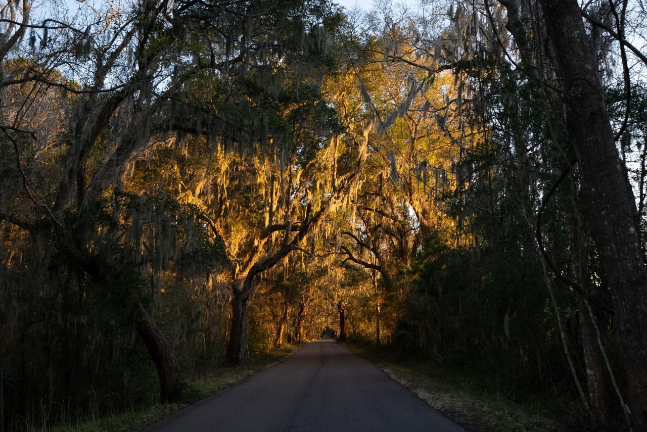 4105 Gnarled Oaks Lane Photo 66