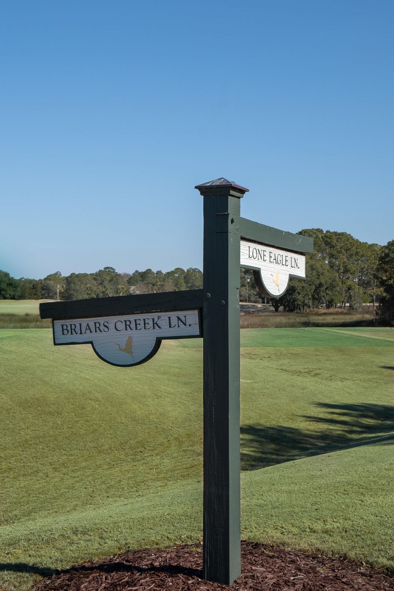 4105 Gnarled Oaks Lane Photo 70