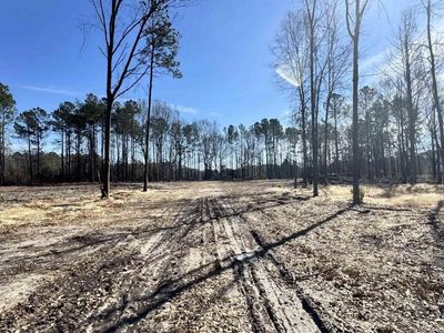 1045 Highway 1 N, Cassatt 2B , Cassatt, SC 29032