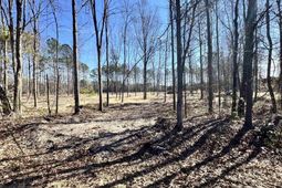 1045 Highway 1 N, Cassatt 2b  photo 4