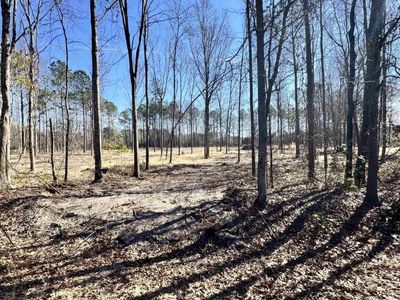 1045 Highway 1 N Cassatt 2C , Cassatt, SC 29032