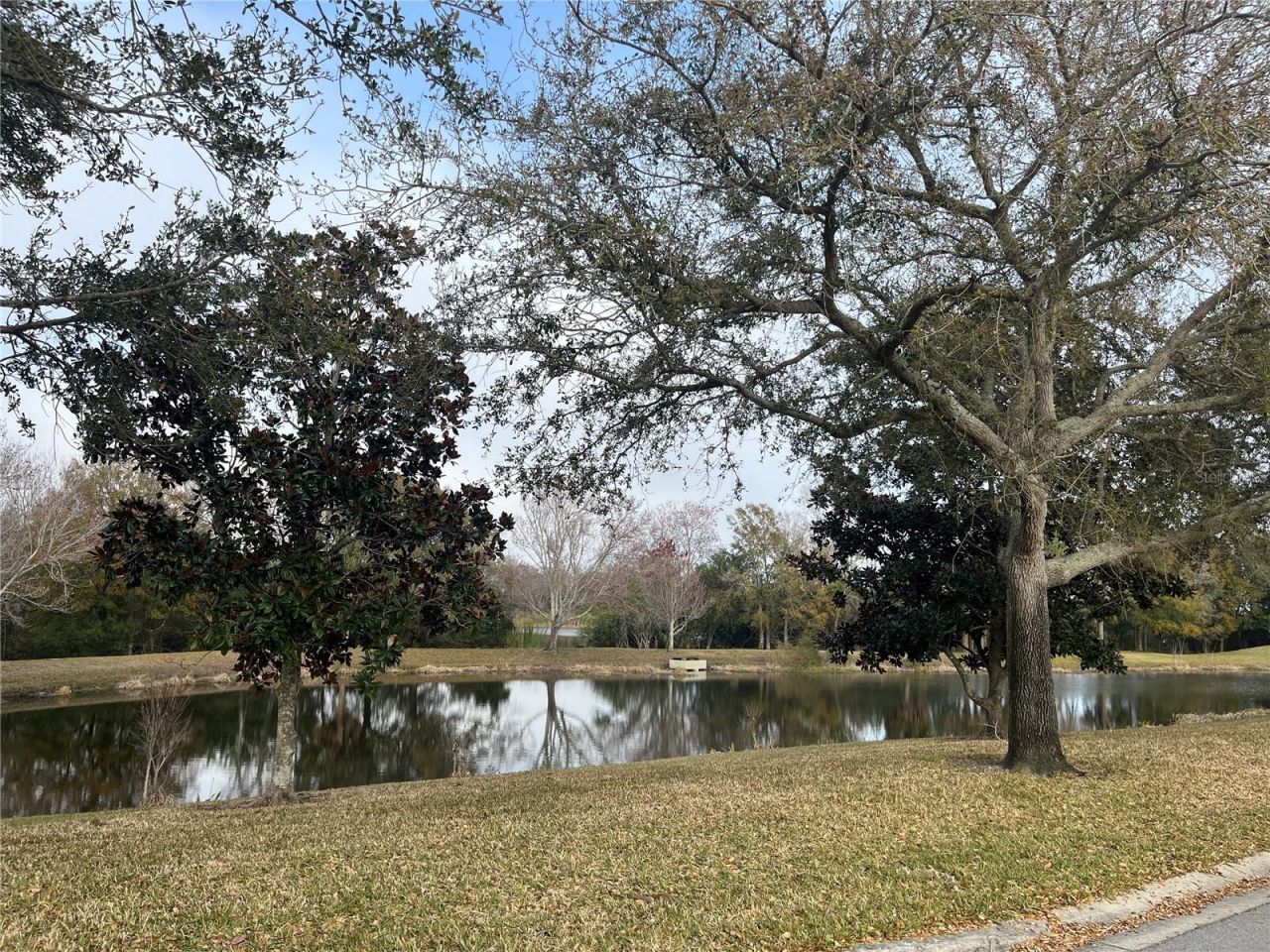 1914 Oswego Drive, Holiday, FL 34691 Photo