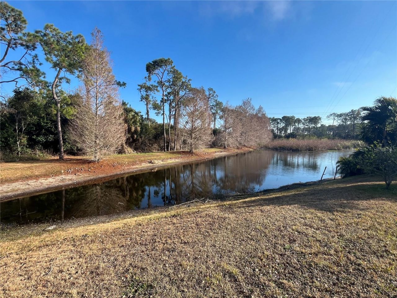 1914 Oswego Drive, Holiday, FL 34691 Photo