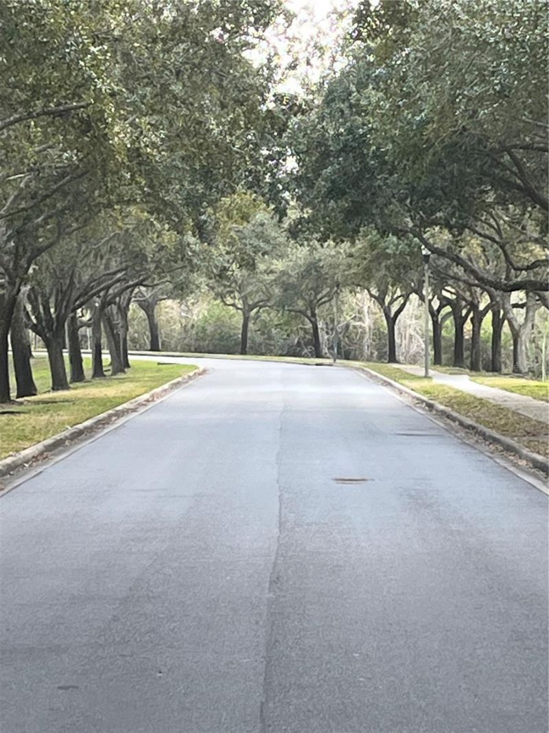 1914 Oswego Drive, Holiday, FL 34691 Photo