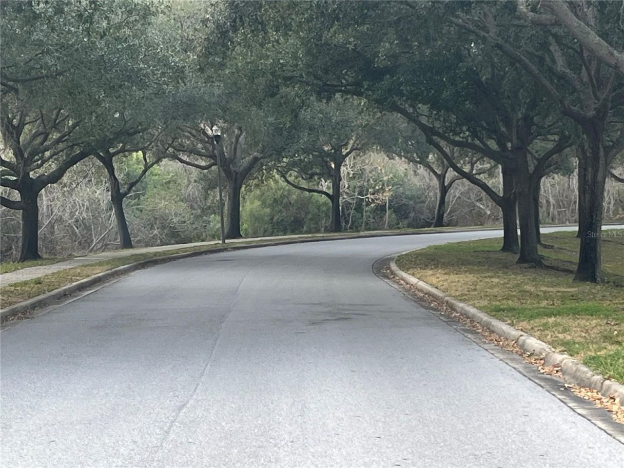 1914 Oswego Drive, Holiday, FL 34691 Photo