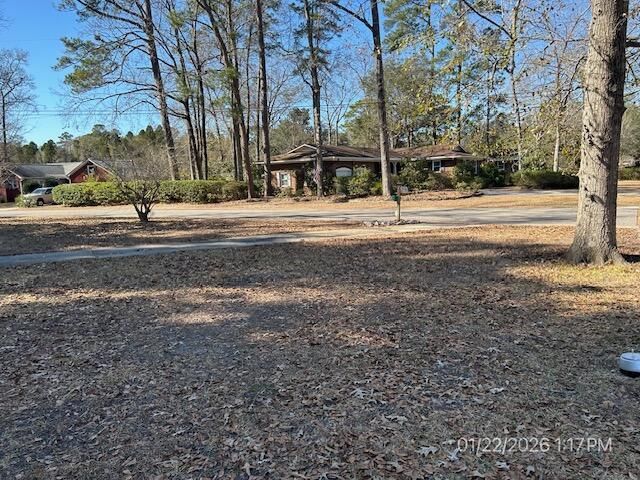 101 Spring Street Photo 14