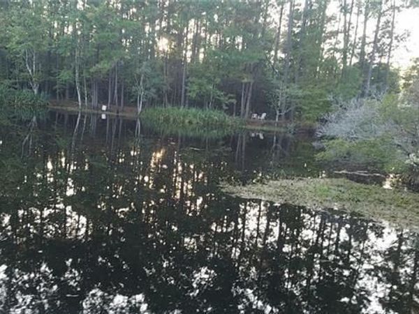 29260 PAQUET Road, Lacombe, LA 70445