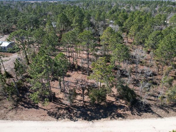 SE 134TH TERRACE, MORRISTON, FL 32668