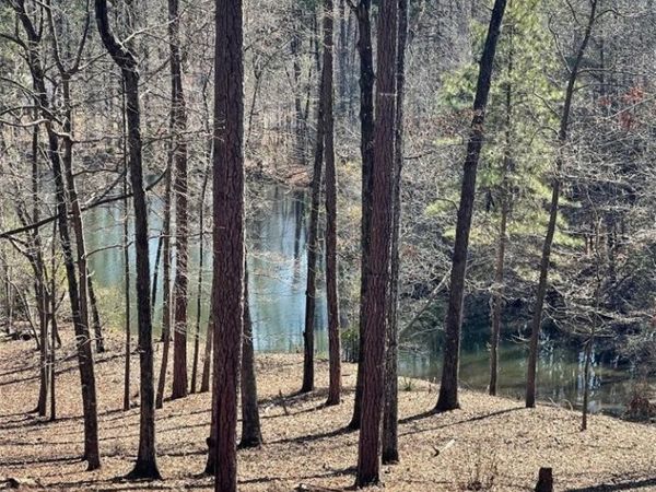 0000 HIDDEN VALLEY Cove, Tuscaloosa, AL 35405