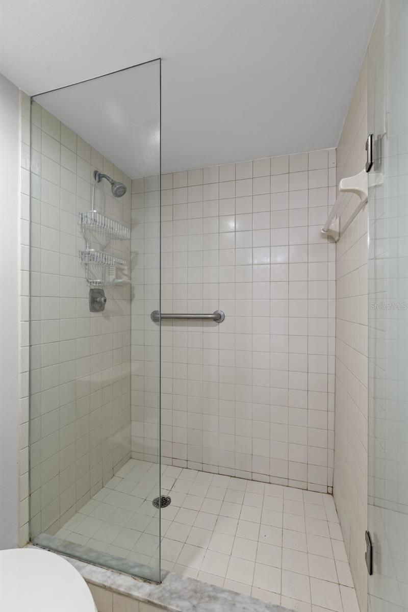 6287 Bahia Del Mar Circle, Unit 407, Saint Petersburg, FL 33715 Photo