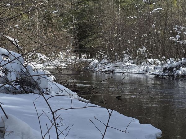 8683 W Peterson Road, Irons, MI 49644