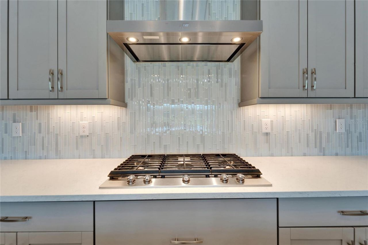 14239 Swiss Bridge Drive, Riverview, FL 33579 Photo