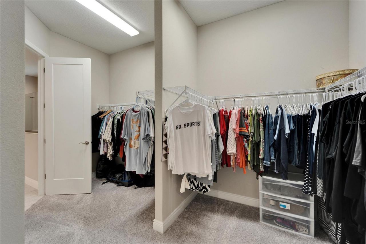 14239 Swiss Bridge Drive, Riverview, FL 33579 Photo