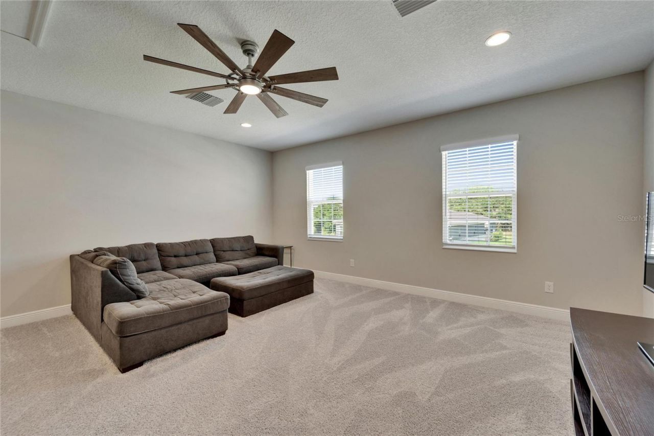 14239 Swiss Bridge Drive, Riverview, FL 33579 Photo