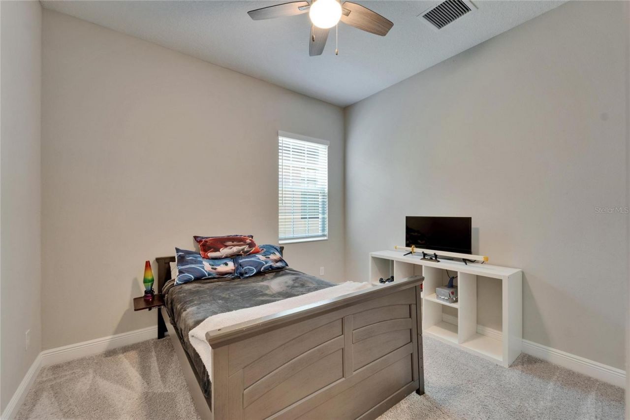 14239 Swiss Bridge Drive, Riverview, FL 33579 Photo