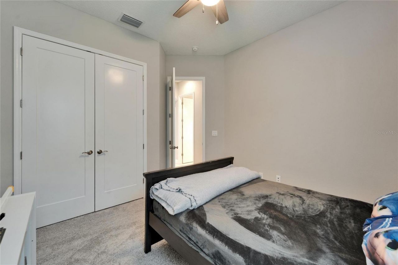 14239 Swiss Bridge Drive, Riverview, FL 33579 Photo