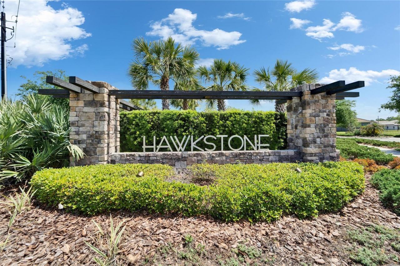 14239 Swiss Bridge Drive, Riverview, FL 33579 Photo