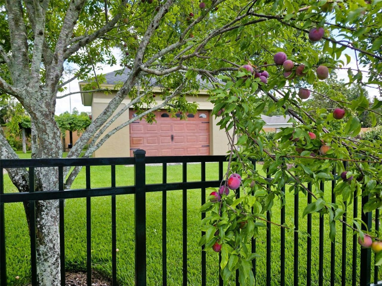 5629 Hillside Landings Road, Lakeland, FL 33810 Photo